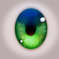 Plus-Size Practice Model Eye Texture Plus-Size Practice Model Eye Texture